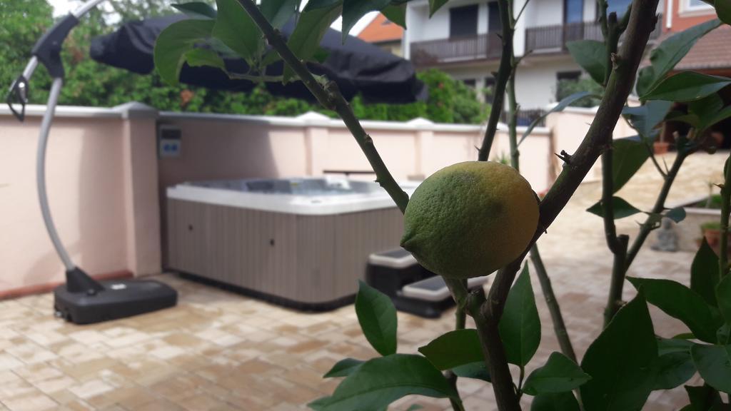 Csillag Panzio Hotel Vac Bagian luar foto